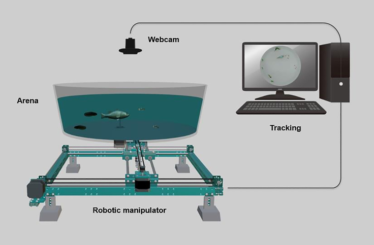 Figure 1