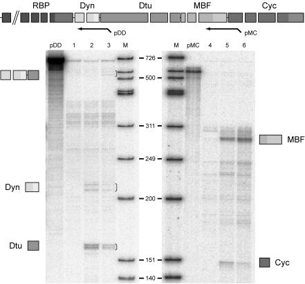 FIG. 6.