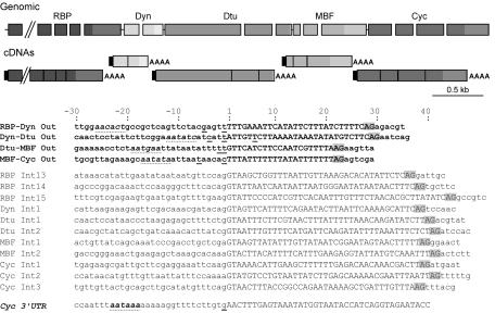 FIG. 4.