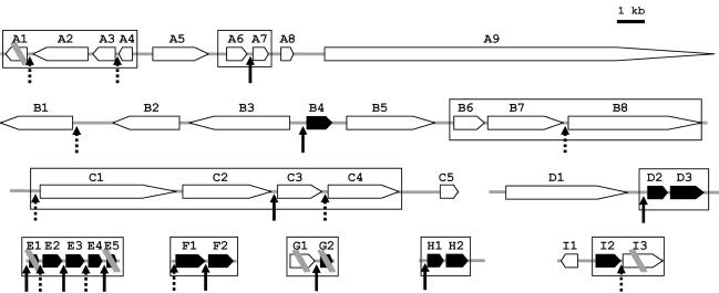 FIG. 7.