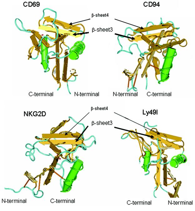 FIG. 9.