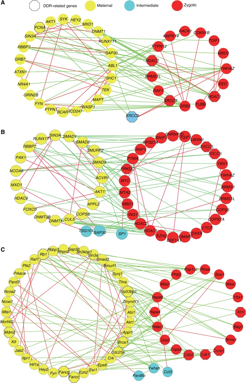 Figure 4.