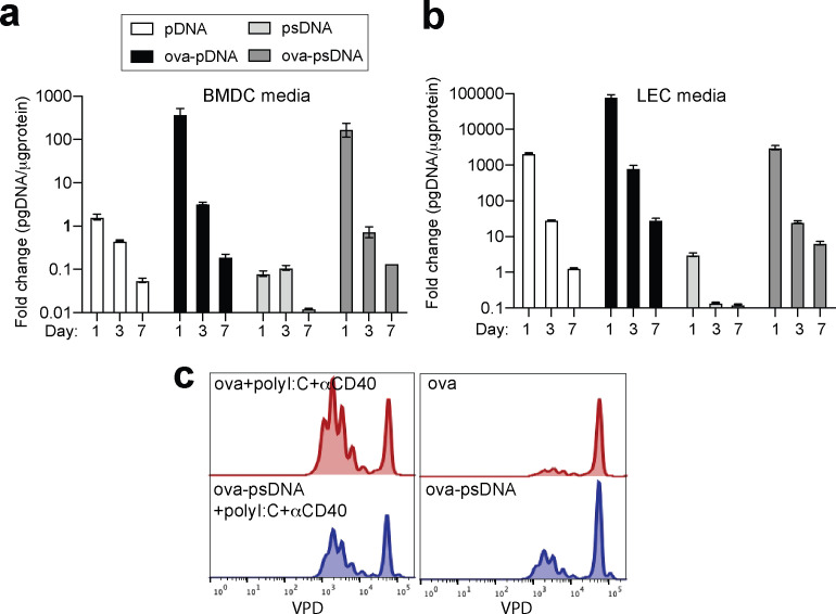 Figure 1—figure supplement 2.