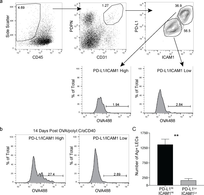 Figure 3—figure supplement 4.