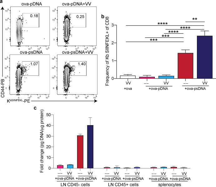 Figure 2—figure supplement 2.