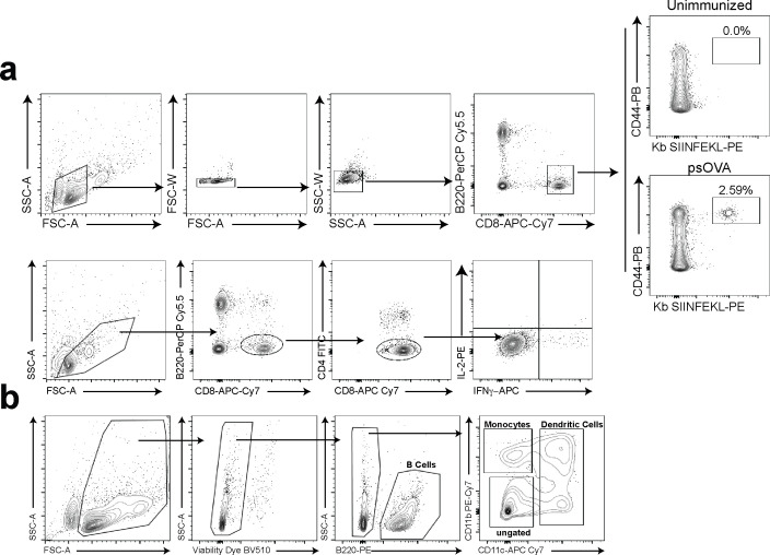 Figure 2—figure supplement 1.