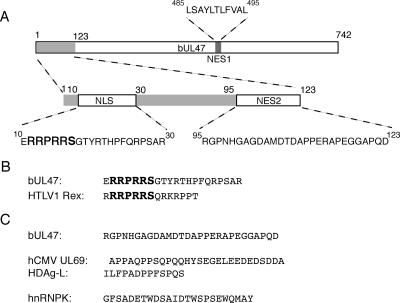 FIG. 10.