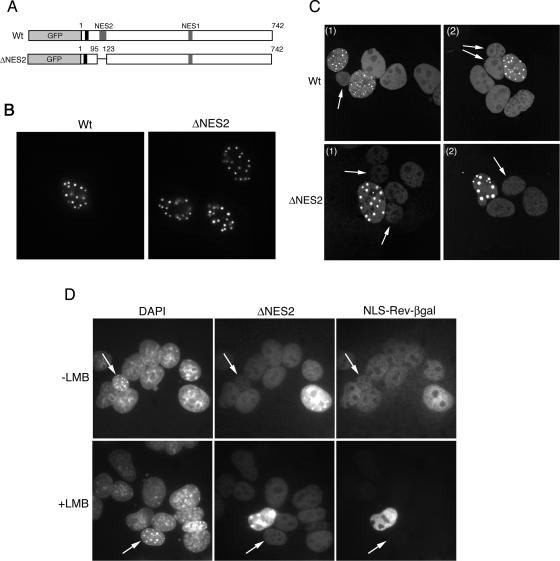 FIG. 9.