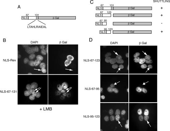 FIG. 8.