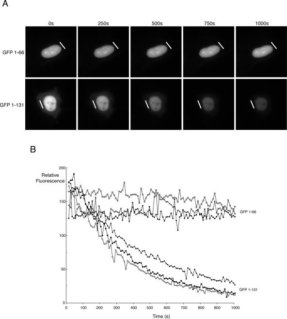 FIG. 7.