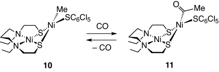 Scheme 5.