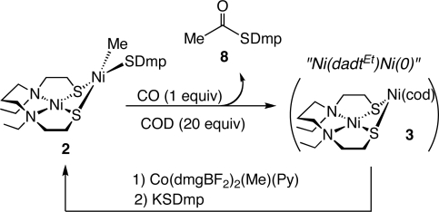 Scheme 6.