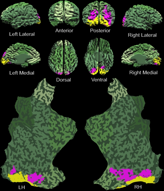 Figure 13.