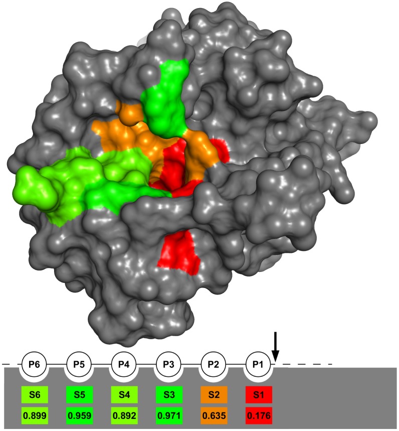 Fig 1