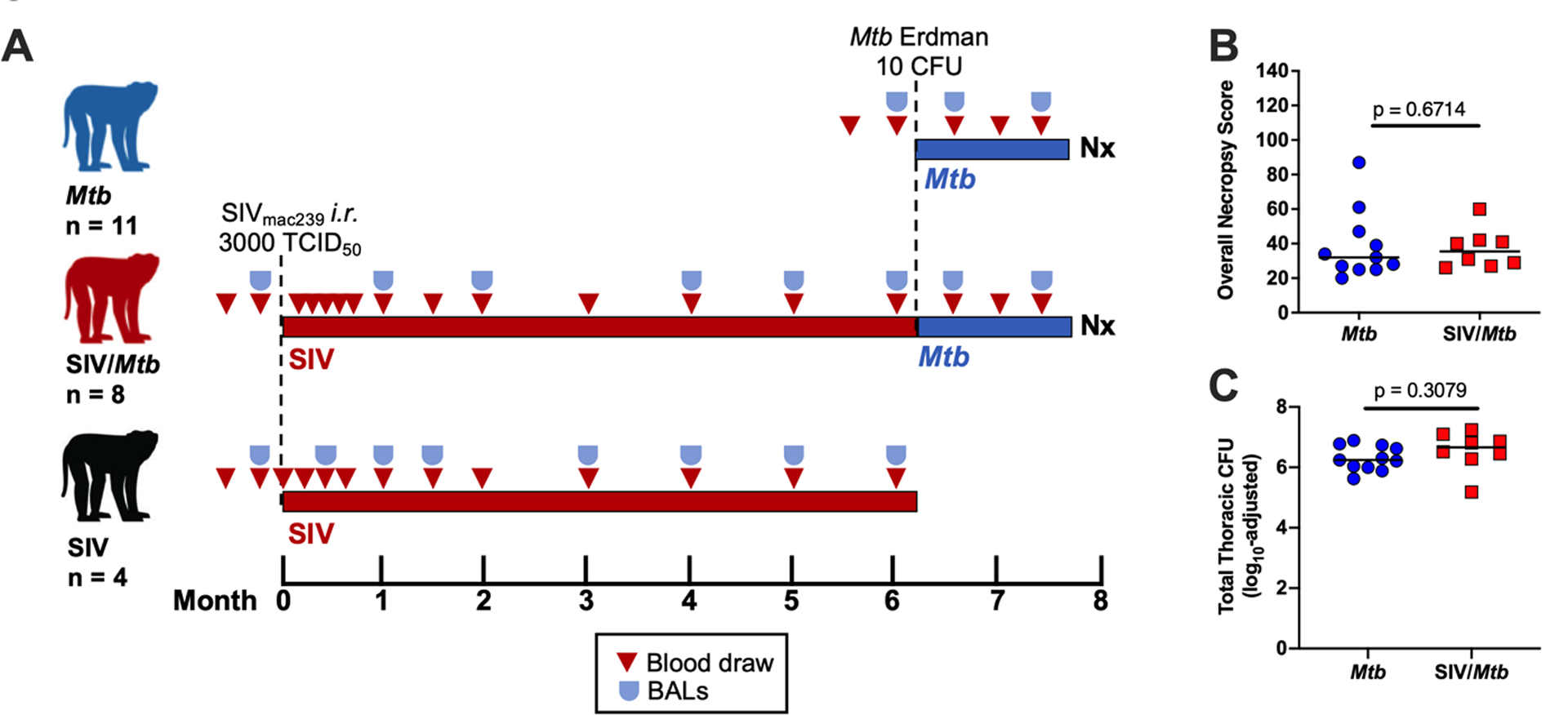 Fig 1.