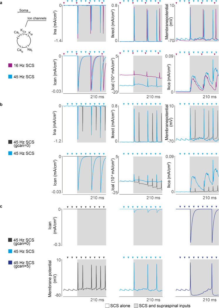 Extended Data Fig. 2 |