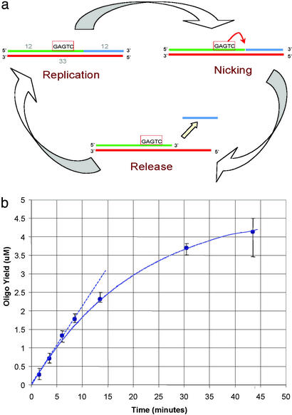 Fig 1.