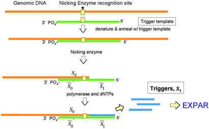 Fig 3.