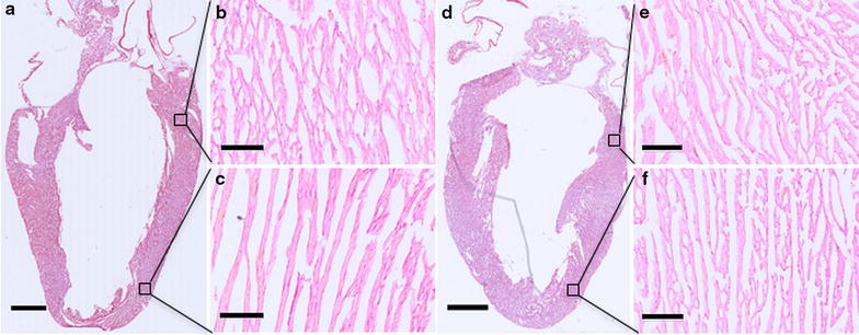 Fig. 5