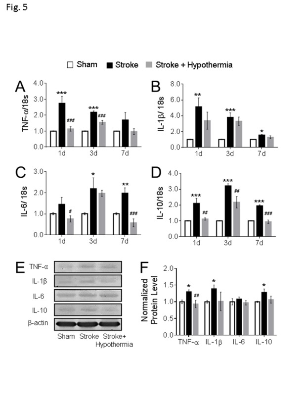 Figure 5.