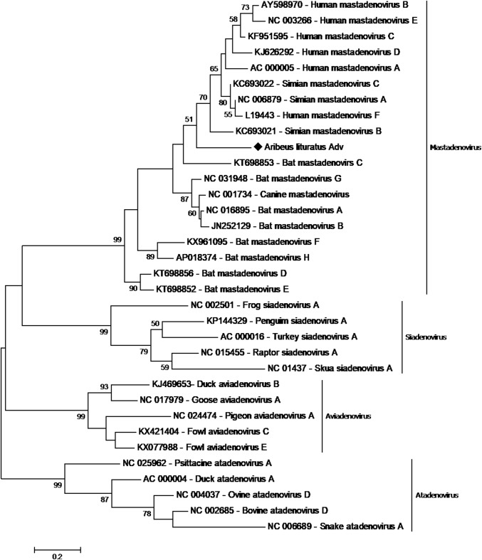 Fig. 1