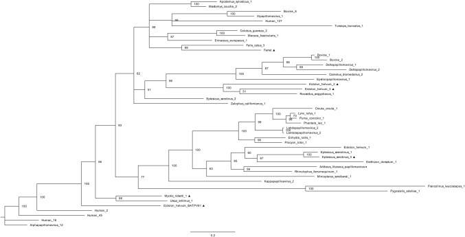 Fig. 3