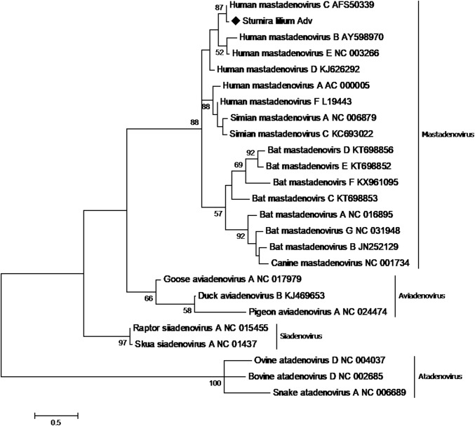 Fig. 2