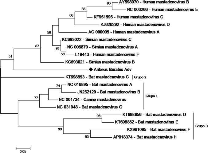 Fig. 6