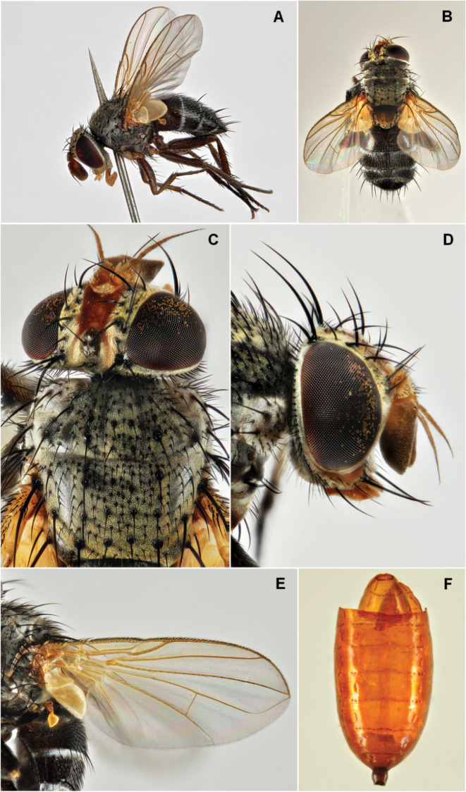 Figure 1.