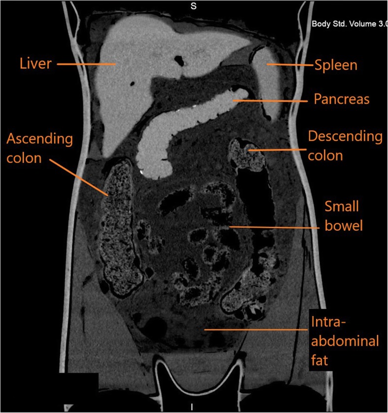 Fig. 9