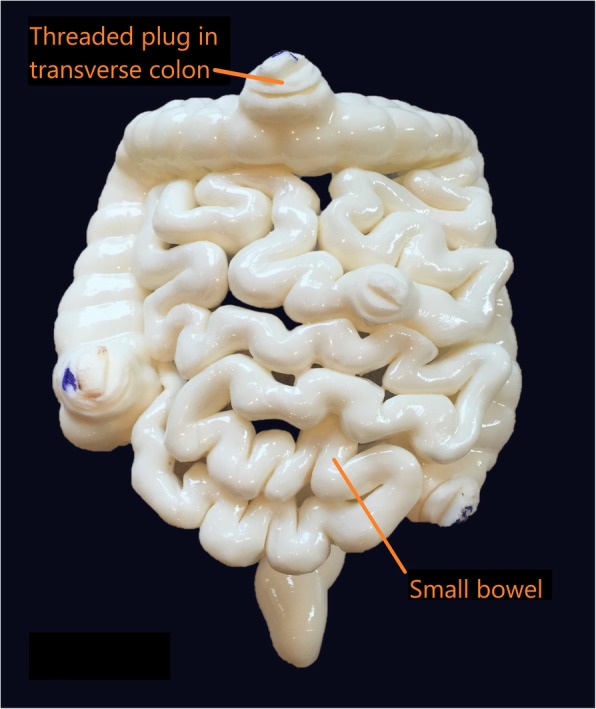 Fig. 11