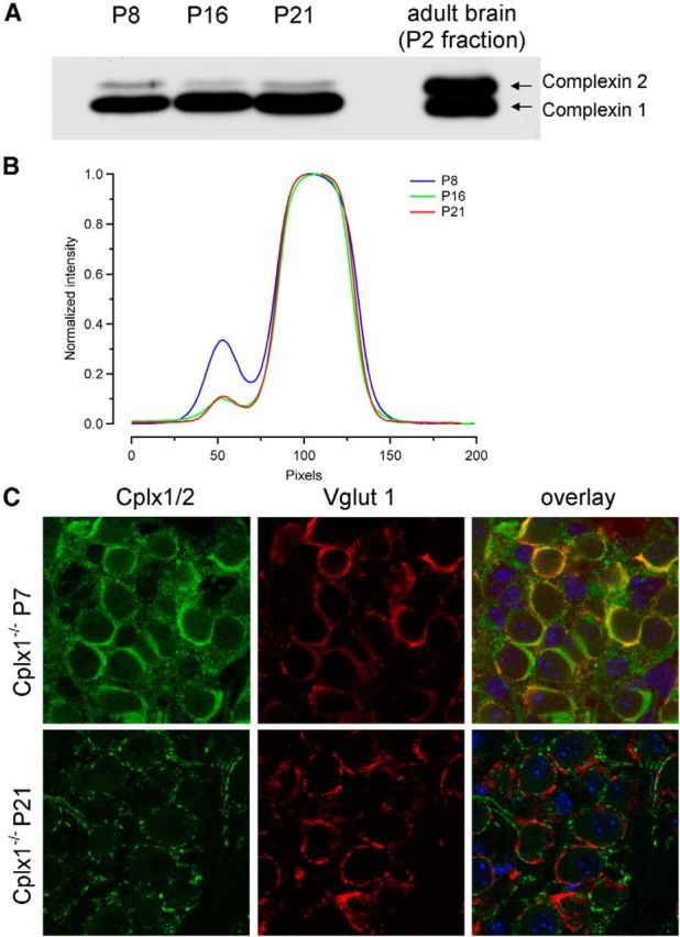 Figure 11.