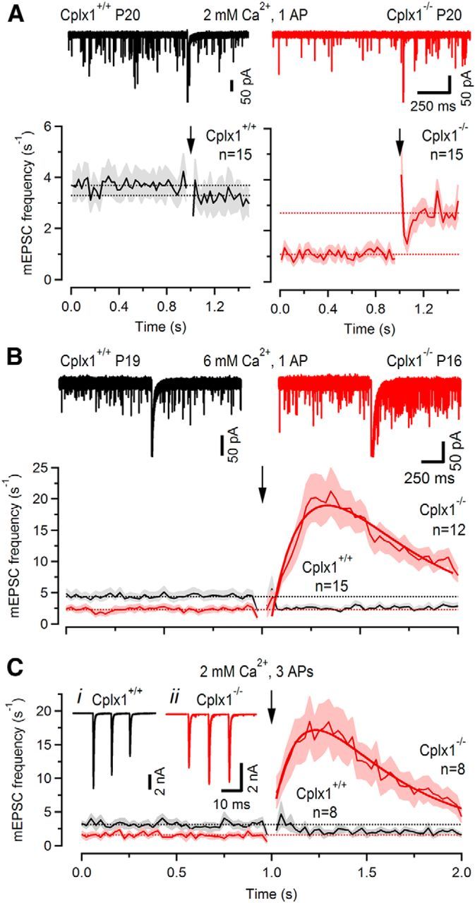 Figure 10.