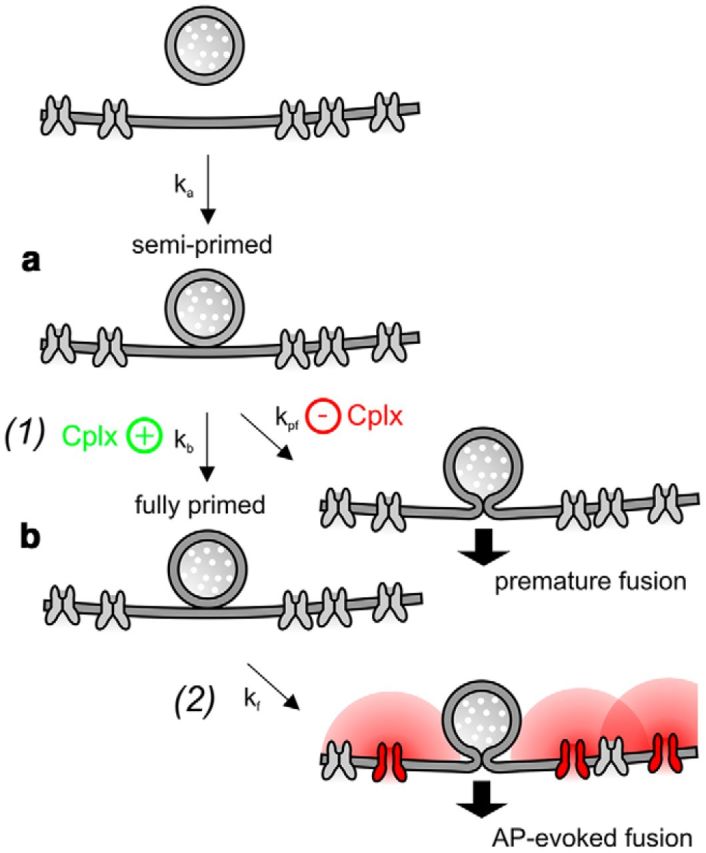 Figure 12.