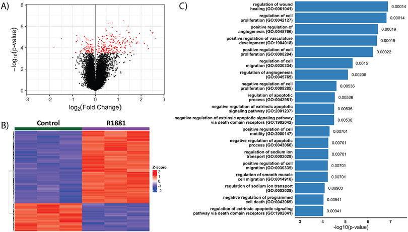 Figure 2: