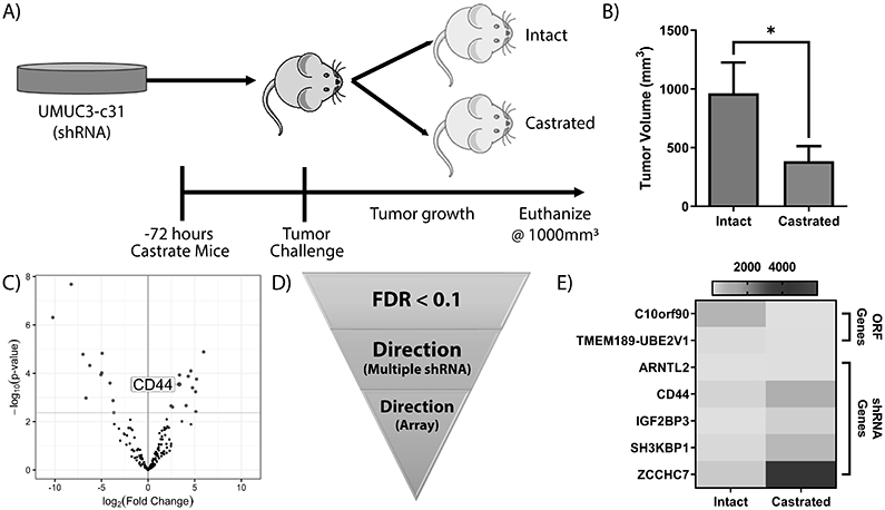 Figure 4: