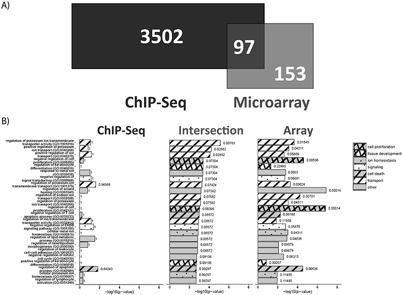 Figure 3: