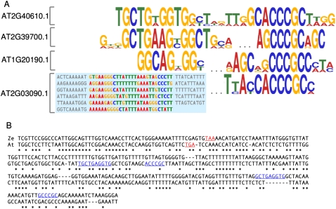 FIGURE 4.