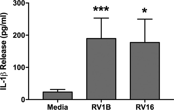 FIG 8