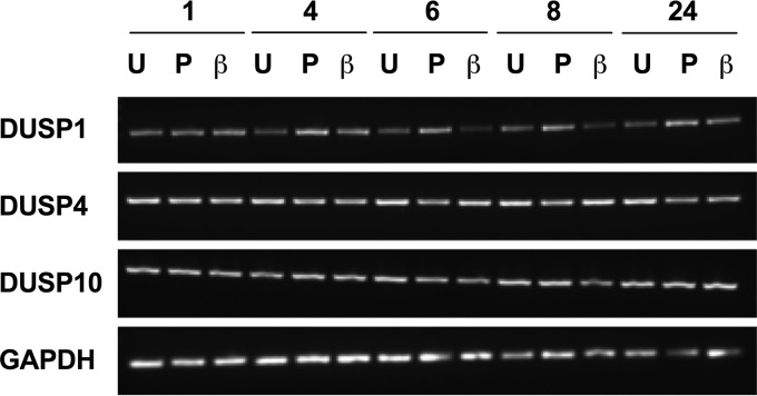 FIG 2