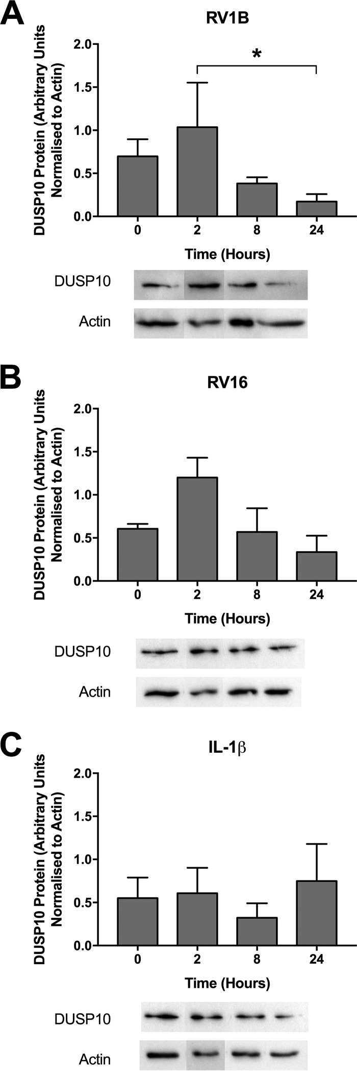 FIG 4