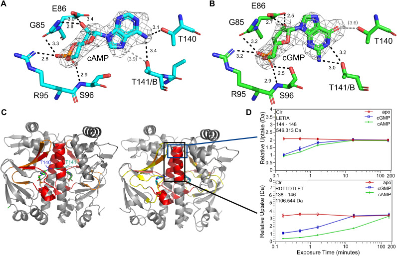 FIG 6