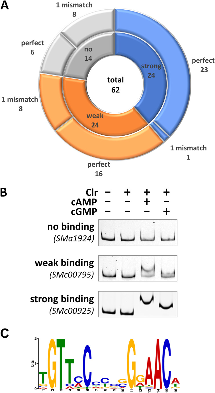 FIG 2