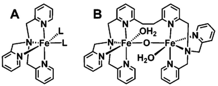 Scheme 4