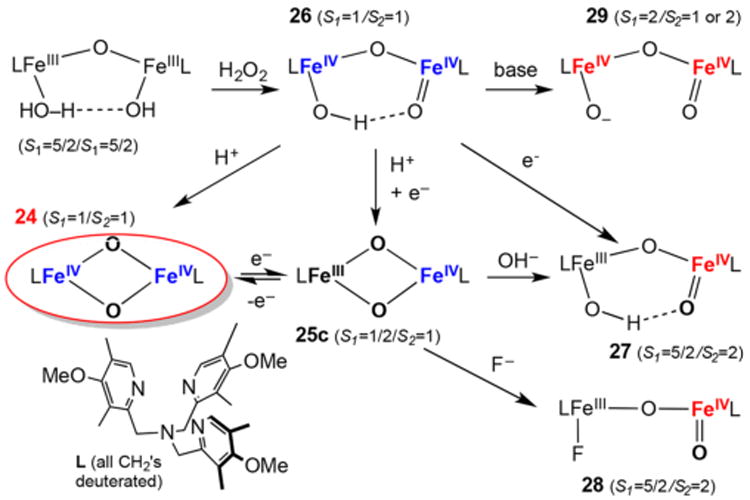 Scheme 5