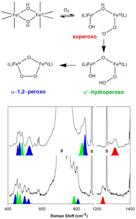 Figure 22