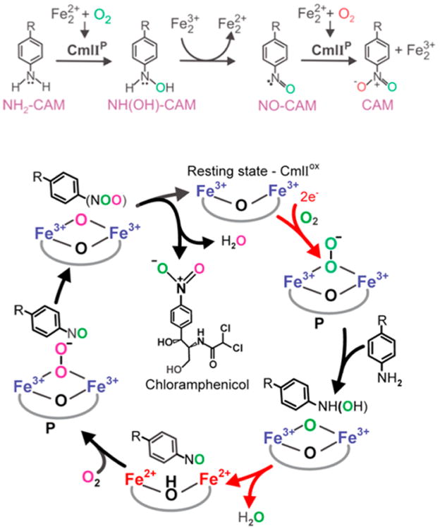 Figure 13