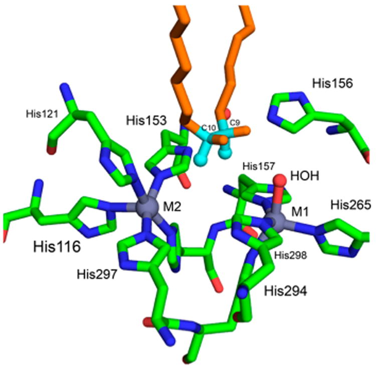 Figure 27