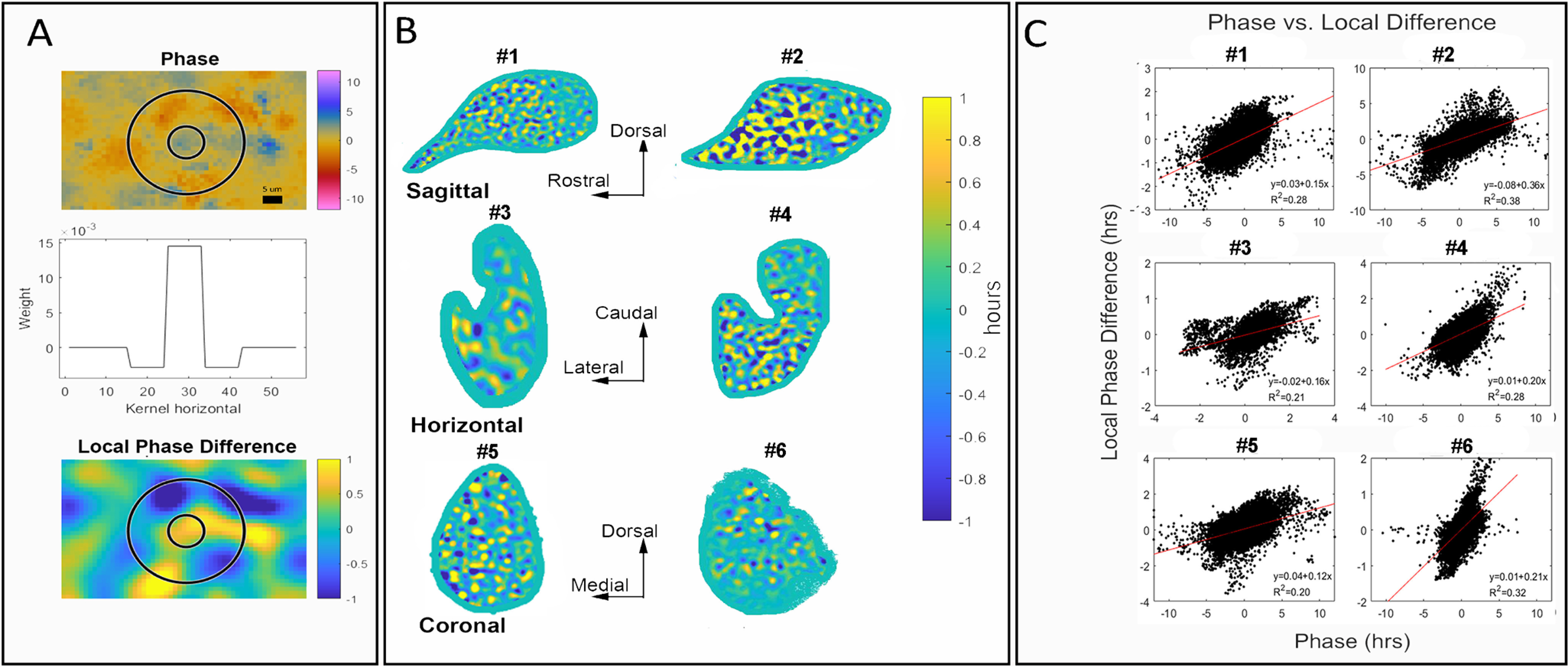 Figure 3.