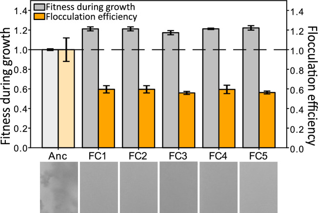 Figure 4—figure supplement 2.